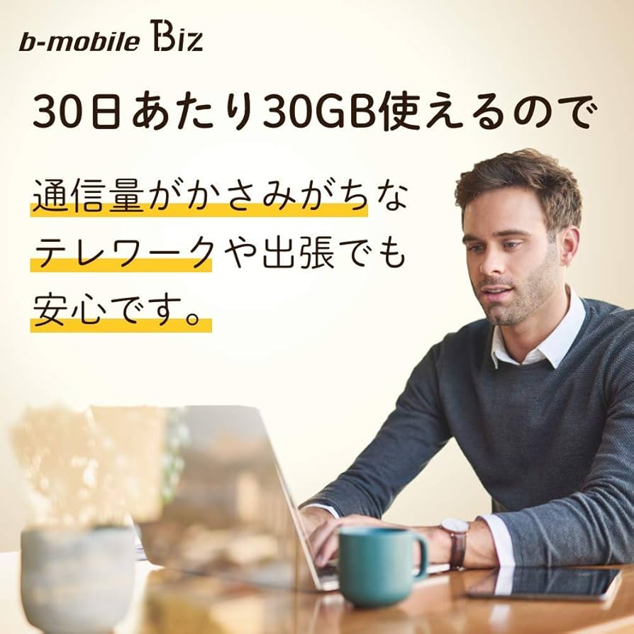 Amazon.co.jp: 日本通信 b-mobile Biz SIMパッケージ(DC/マルチ